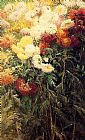 Famous Chrysanthemums Paintings - Chrysanthemums Garden at Petit Gennevilliers
